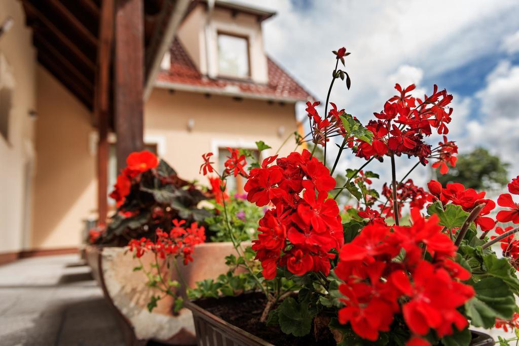 Vera Hotel Sulechów Exterior foto